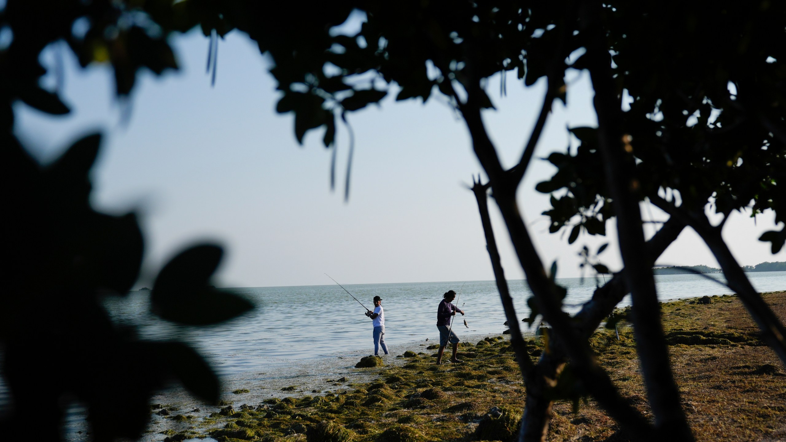 Men fish in Florida Bay from the shoreline of Florida's Everglades National Park, Saturday, May 18, 2024. (AP Photo/Rebecca Blackwell)