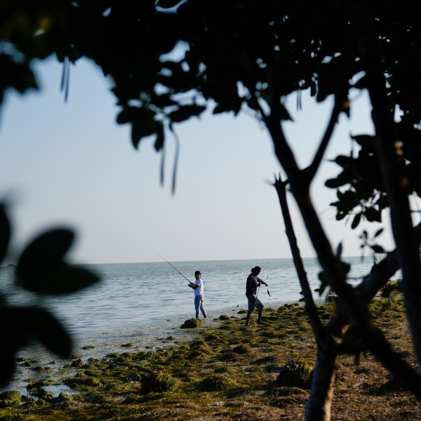 Men fish in Florida Bay from the shoreline of Florida's Everglades National Park, Saturday, May 18, 2024. (AP Photo/Rebecca Blackwell)