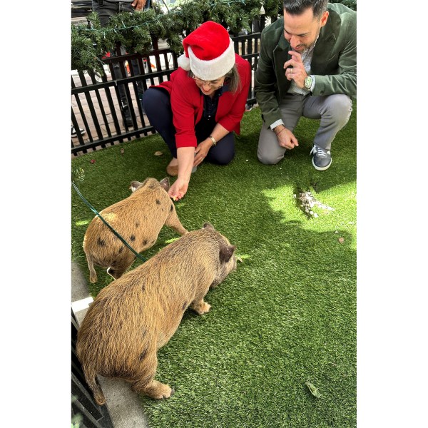 Miami-Dade County Mayor Daniella Levine Cava and restaurant owner Eric Castellanos feed 4-month-old pigs Glinda and Elphaba in Miami before Levine Cava issued ceremonial pardons Friday, Dec. 20, 2024, sparing the pigs from being barbecued during Cuban Americans' Christmas Eve feast known as "nochebuena." (AP Photo/Terry Spencer)