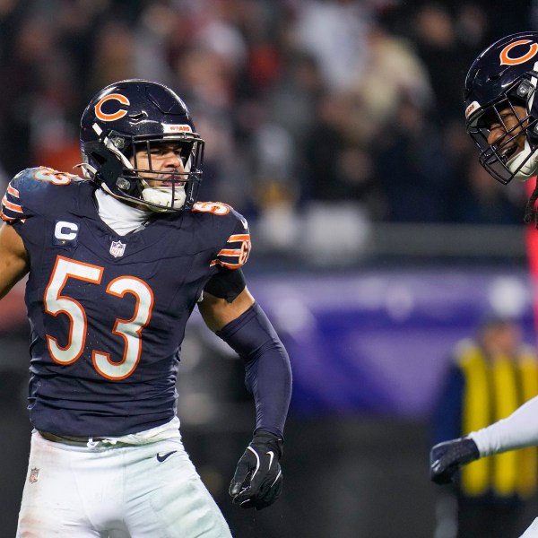 Chicago Bears linebackers T.J. Edwards (53) and Tremaine Edmunds (49) react after a play against the Seattle Seahawks during the second half of an NFL football game, Thursday, Dec. 26, 2024, in Chicago. (AP Photo/Erin Hooley)