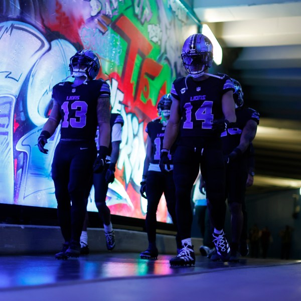 Detroit Lions running back Craig Reynolds (13) and wide receiver Amon-Ra St. Brown (14) walk to the field before an NFL football game against the Minnesota Vikings, Sunday, Jan. 5, 2025, in Detroit. (AP Photo/Rey Del Rio)