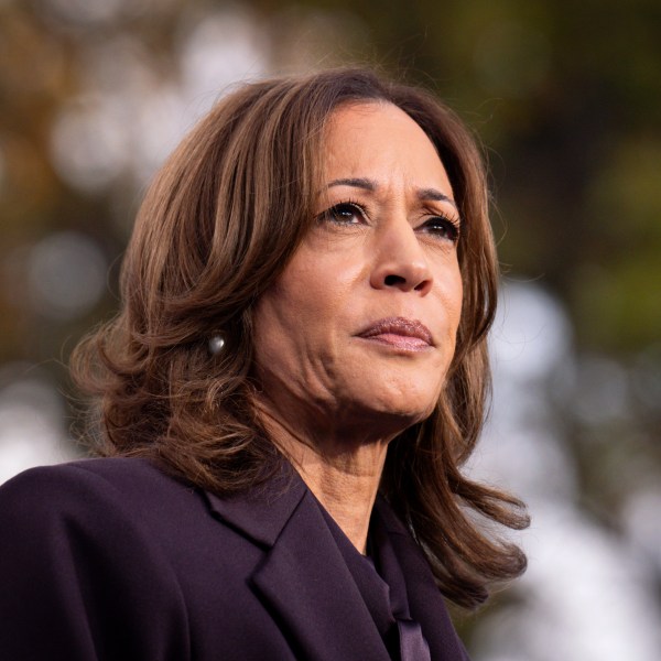 FILE - Democratic presidential nominee Vice President Kamala Harris speaks, Nov. 6, 2024, in Washington. (AP Photo/Jacquelyn Martin, File)