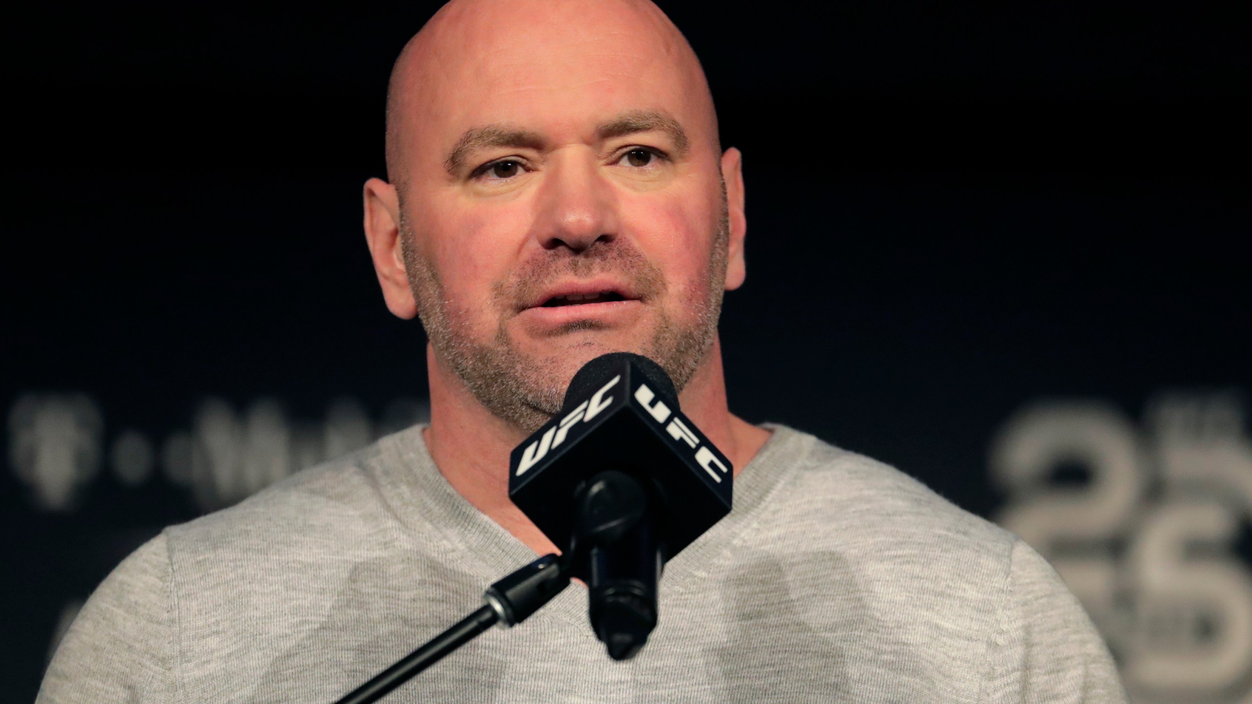 FILE - In this Nov. 2, 2018, file photo, UFC president Dana White speaks at a news conference in New York. (AP Photo/Julio Cortez, File)