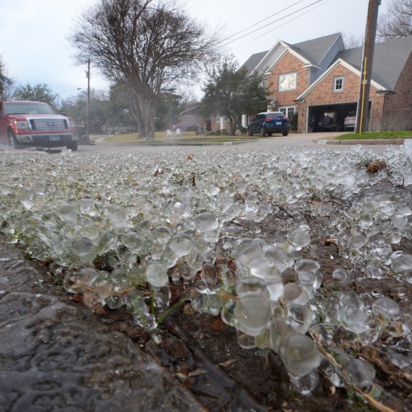 Cold temperatures and a lawn sprinkler create ice on grass ahead of a winter storm expected to hit the North Texas region later tomorrow Wednesday, Jan. 8, 2025, in Richardson, Texas. (AP Photo/LM Otero)