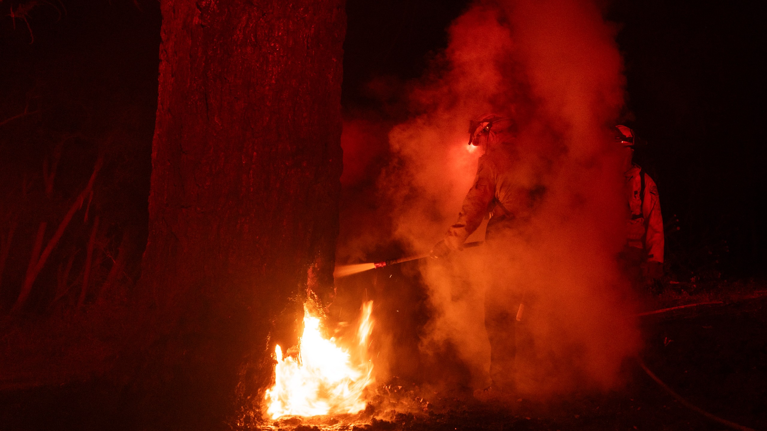 Firefighters put out a fire burning inside a tree after the Eaton Fire burned through the mountains of the Angeles National Forest near Mount Wilson Observatory north of Pasadena, Thursday, Jan. 9, 2025.(AP Photo/Etienne Laurent)