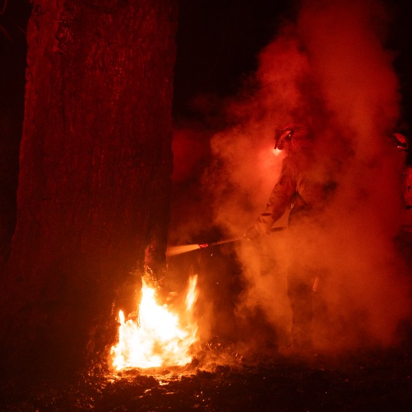 Firefighters put out a fire burning inside a tree after the Eaton Fire burned through the mountains of the Angeles National Forest near Mount Wilson Observatory north of Pasadena, Thursday, Jan. 9, 2025.(AP Photo/Etienne Laurent)