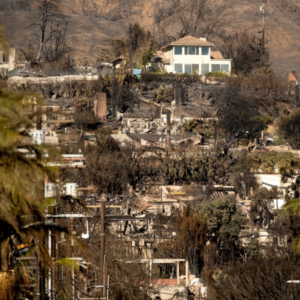 A home stands among residences destroyed by the Palisades Fire in the Pacific Palisades neighborhood of Los Angeles on Sunday, Jan. 12, 2025. (AP Photo/Noah Berger)