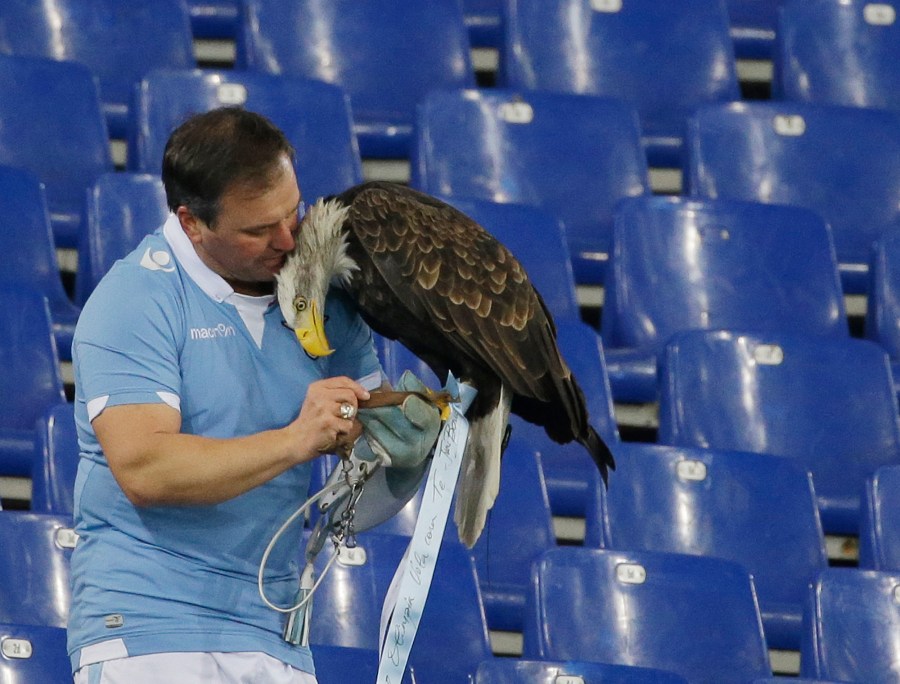 FILE - Lazio's mascot Olympia is recovered by falconer Juan Bernabe after escaping prior to the start of a Serie A soccer match between Lazio and AC Milan at Rome's Olympic stadium, Saturday, Jan. 24, 2015. (AP Photo/Gregorio Borgia, File)