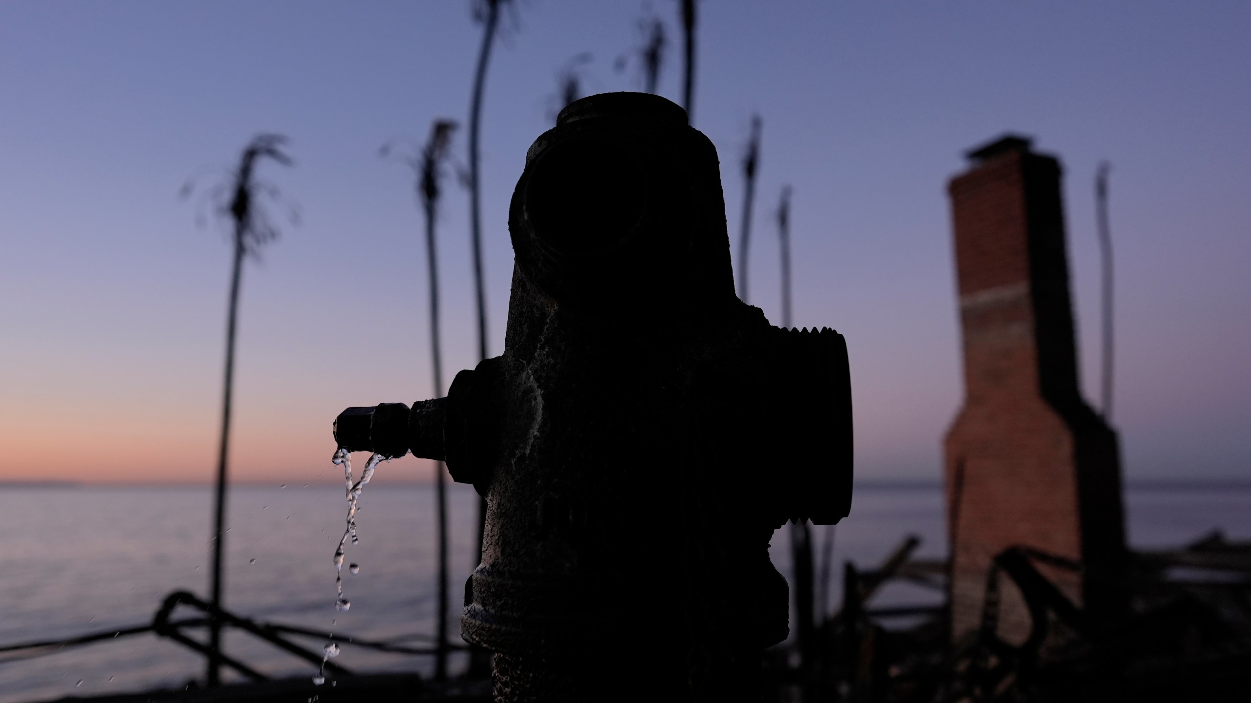 FILE - A burned fire hydrant drips water in front of charred trees in Malibu, Calif., Jan. 14, 2025. (AP Photo/Carolyn Kaster, File)