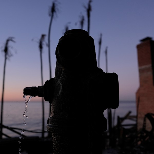 FILE - A burned fire hydrant drips water in front of charred trees in Malibu, Calif., Jan. 14, 2025. (AP Photo/Carolyn Kaster, File)