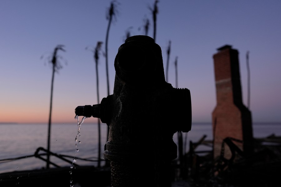 FILE - A burned fire hydrant drips water in front of charred trees in Malibu, Calif., Jan. 14, 2025. (AP Photo/Carolyn Kaster, File)